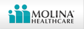 Molina (Pre-production) logo